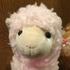 catherine22290